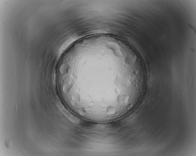 X0000103501179200809262007