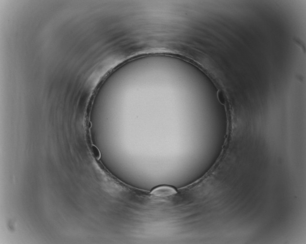 X0000103501181200809262007