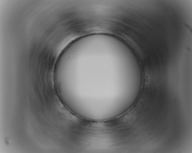 X0000103501182200809262007