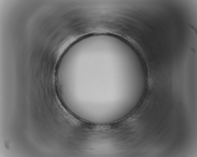 X0000103501183200809262007