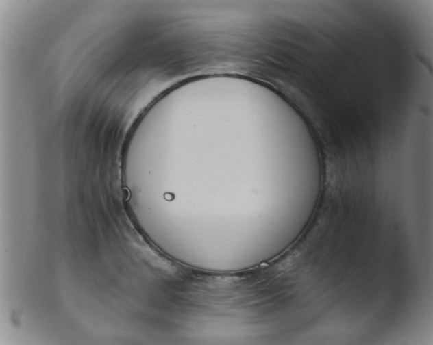 X0000103501184200809262007