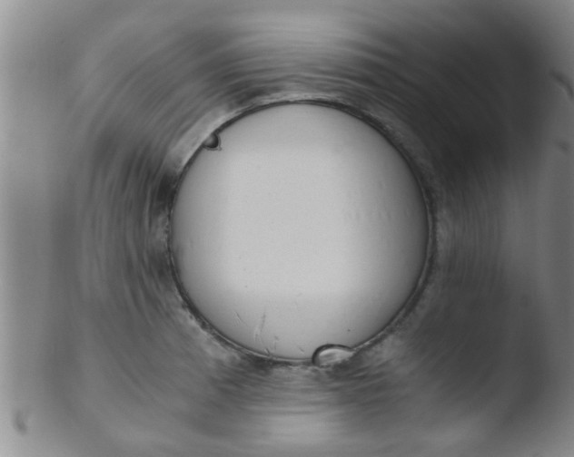 X0000103501185200809262007