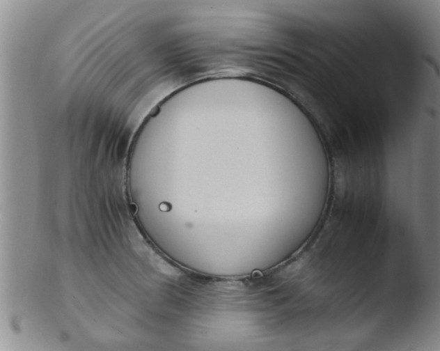 X0000103501186200809262007