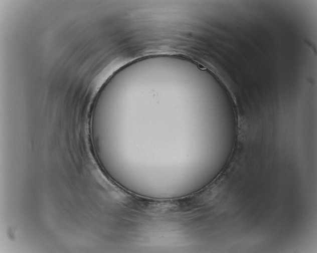 X0000103501187200809262007