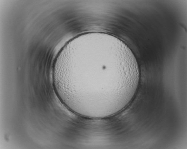 X0000103501188200809262007