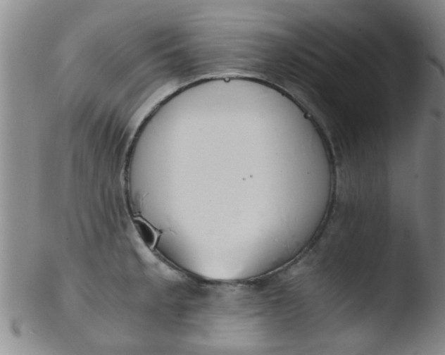 X0000103501189200809262007