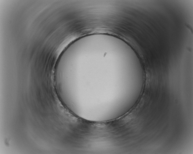 X0000103501190200809262007