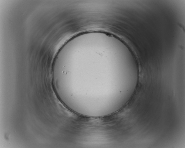 X0000103501191200809262007