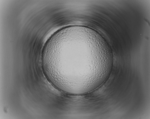 X0000103501192200809262007