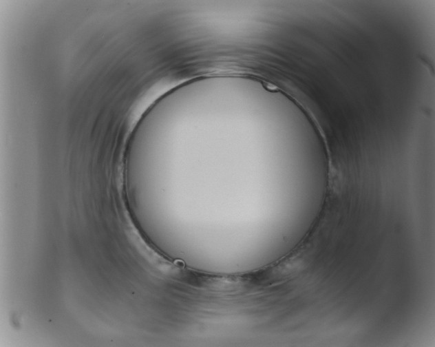 X0000103501195200809262007