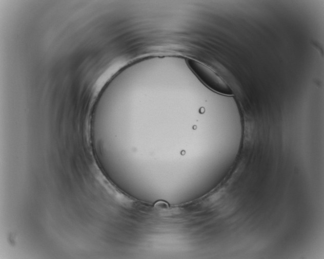 X0000103501196200809262007