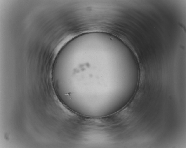 X0000103501197200809262006