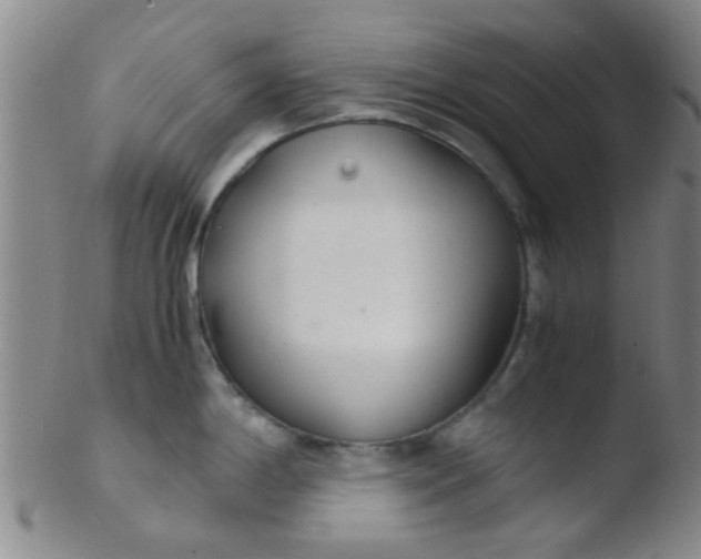 X0000103501198200809262006