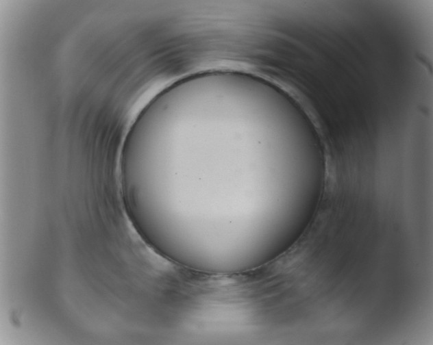 X0000103501199200809262006