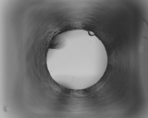 X0000103501201200809262006