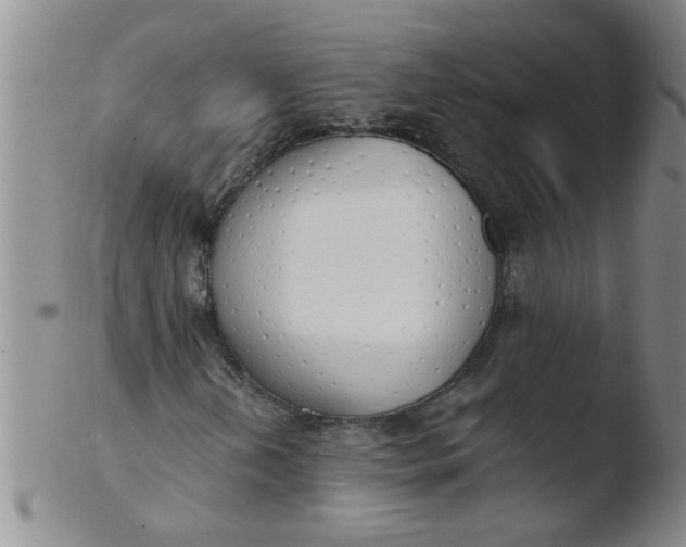 X0000103501202200809262006