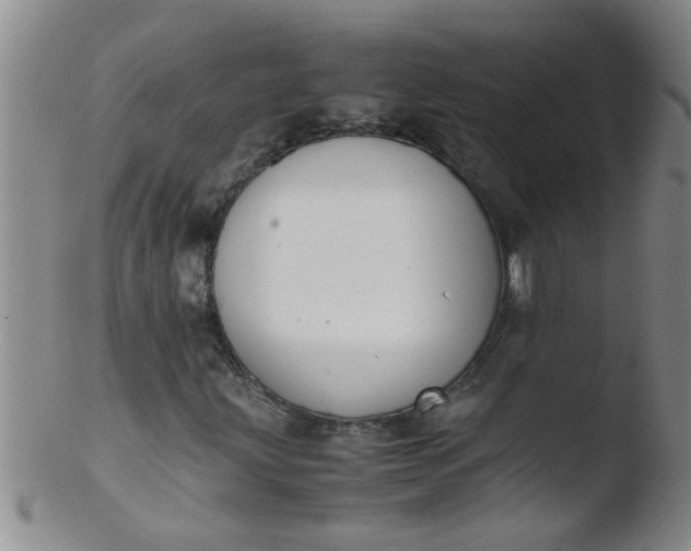 X0000103501203200809262006