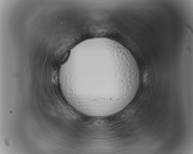 X0000103501204200809262006