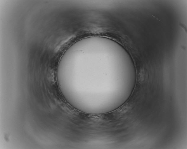 X0000103501205200809262006