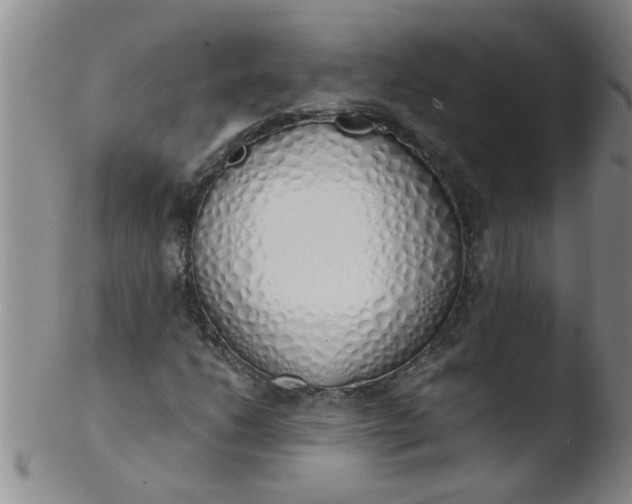 X0000103501206200809262006