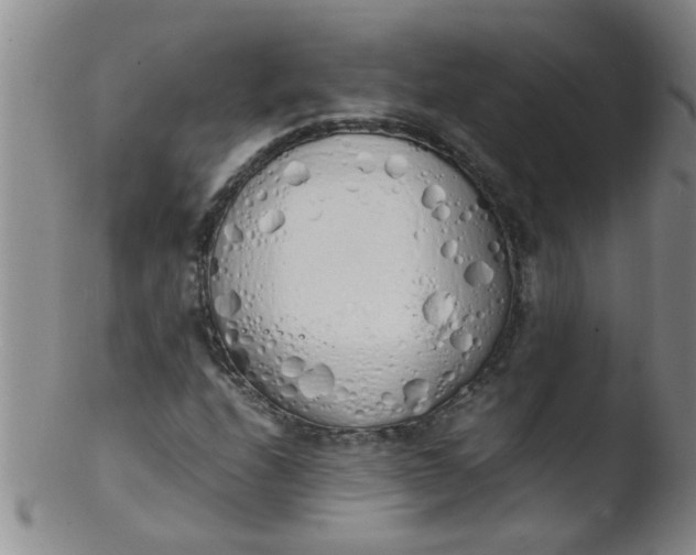 X0000103501208200809262006