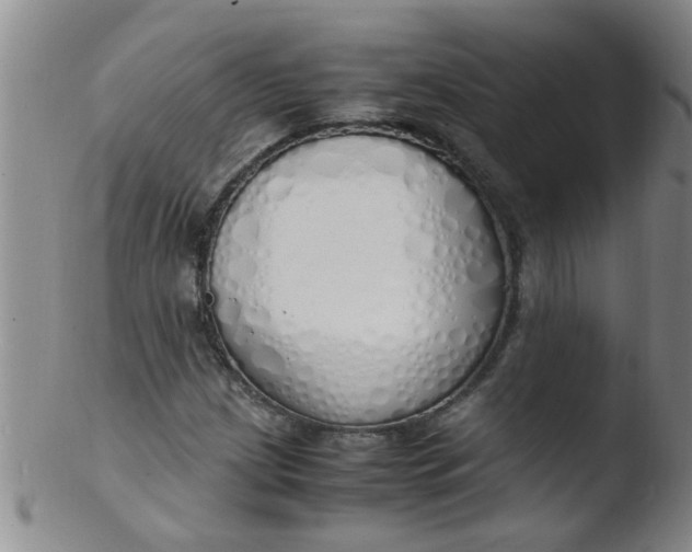 X0000103501209200809262006