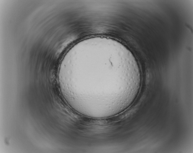 X0000103501210200809262006