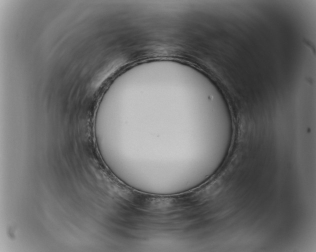 X0000103501211200809262006