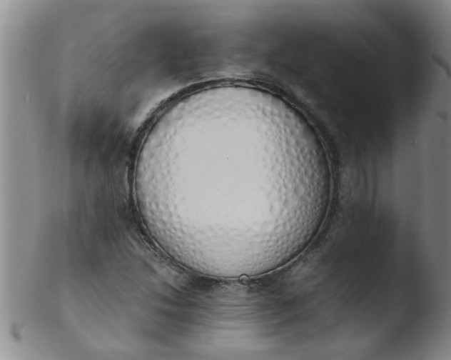 X0000103501214200809262006