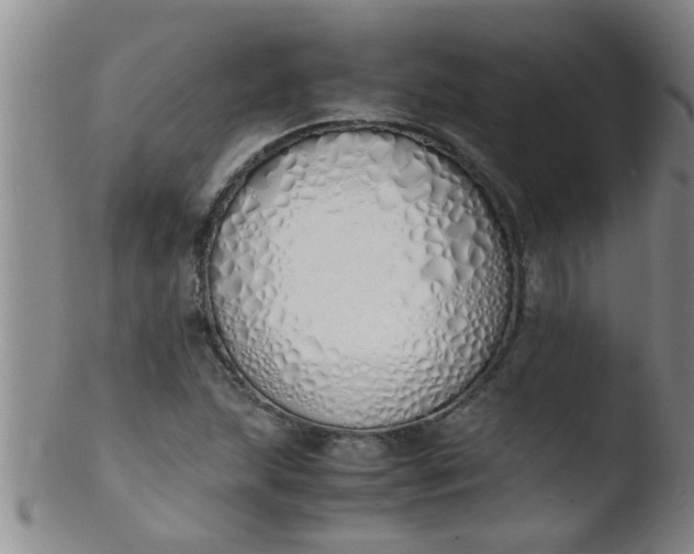 X0000103501215200809262006