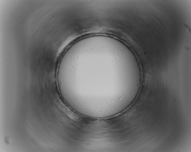 X0000103501216200809262006