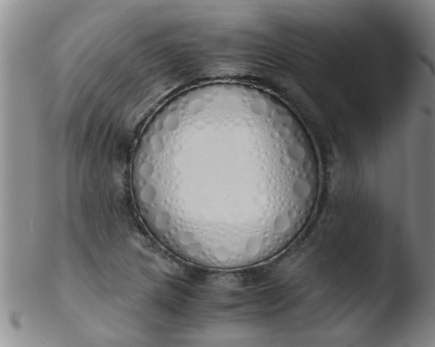 X0000103501217200809262006