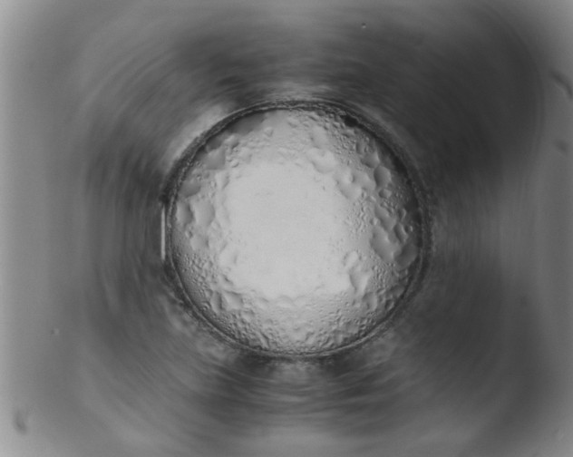 X0000103501219200809262006