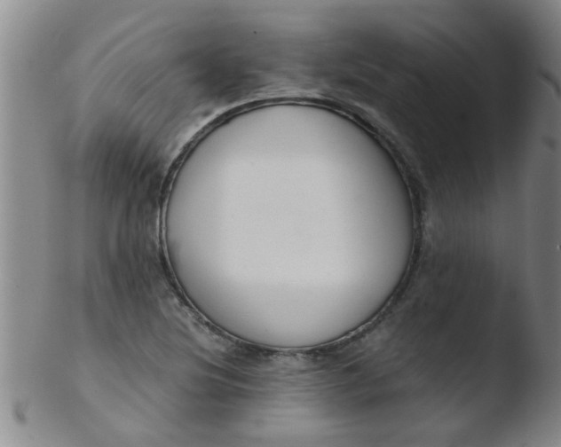 X0000103501220200809262006