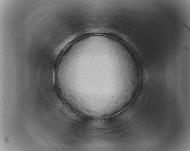 X0000103501221200809262006