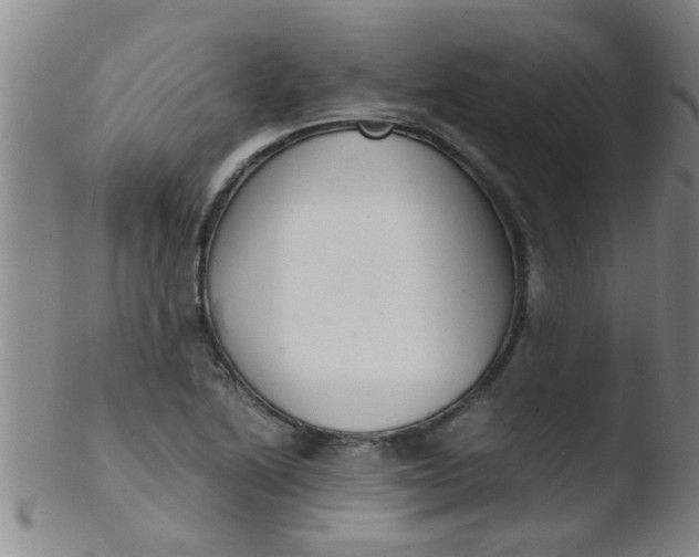 X0000103501222200809262006