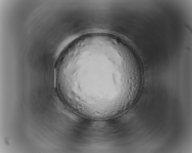 X0000103501223200809262006