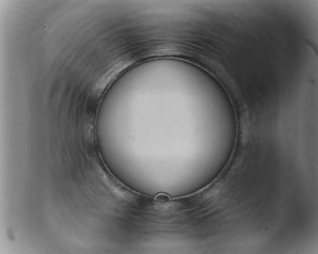 X0000103501225200809262006