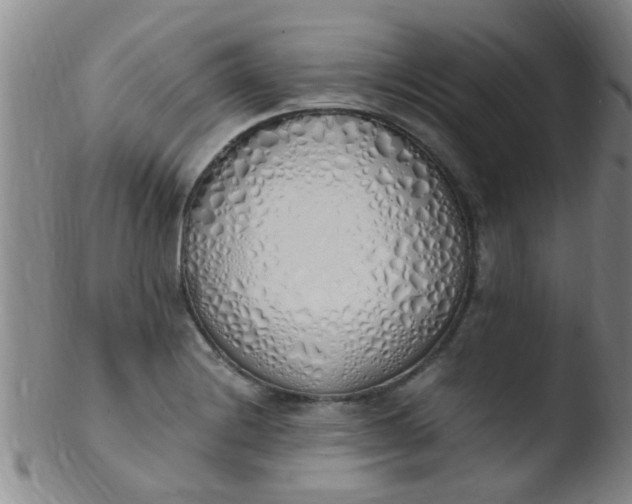 X0000103501228200809262006