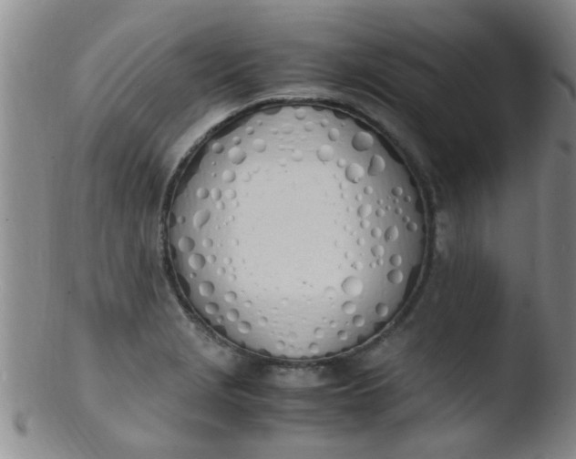 X0000103501229200809262006