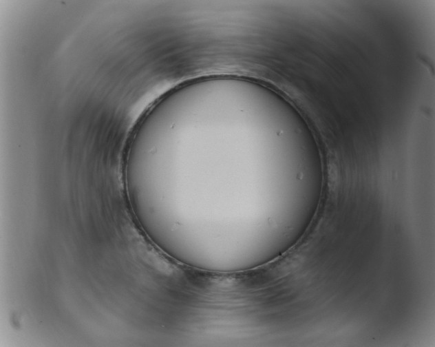 X0000103501230200809262006