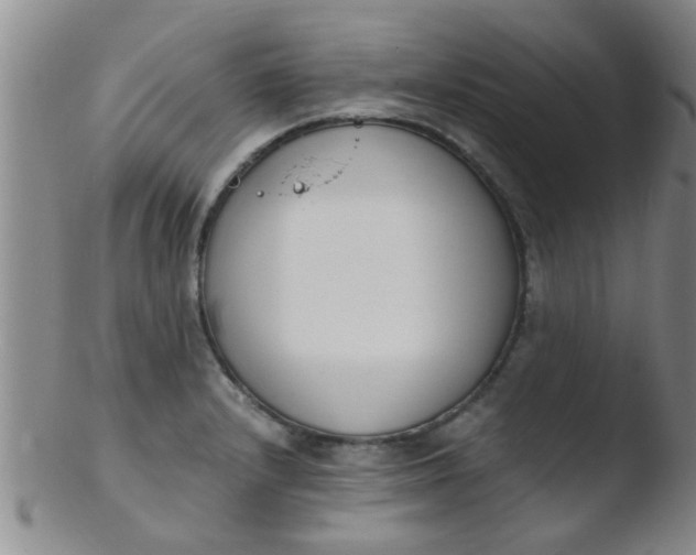 X0000103501232200809262006