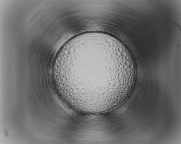 X0000103501234200809262006