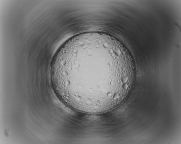 X0000103501235200809262006