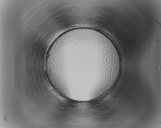 X0000103501236200809262006