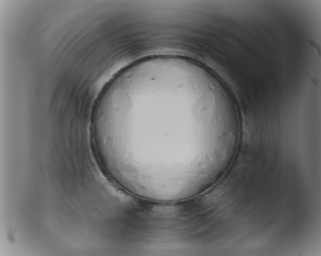 X0000103501237200809262006