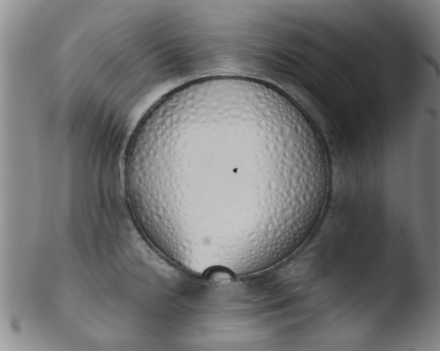 X0000103501238200809262006