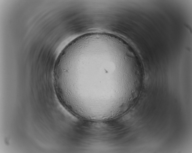 X0000103501239200809262006