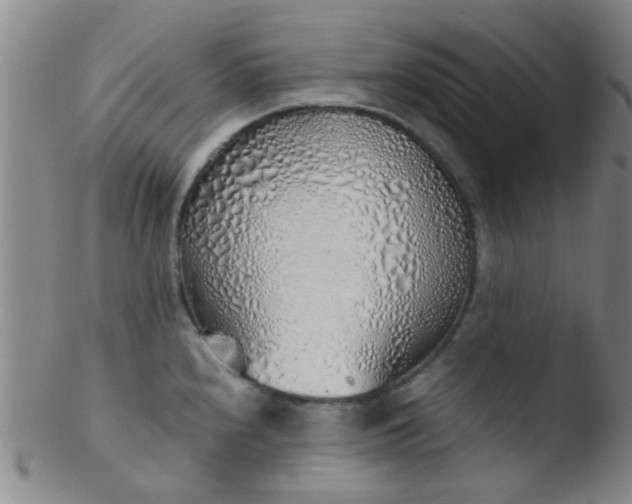 X0000103501240200809262006