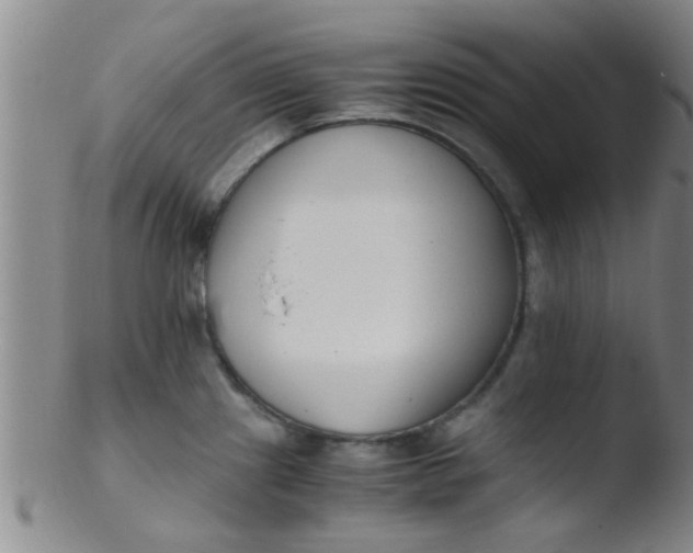 X0000103501241200809262006